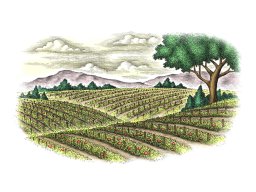 tomato fields art color